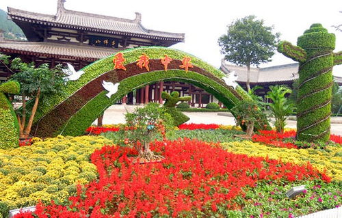 四川綠雕廠專業(yè)定制各種綠雕造型 景區(qū)廣場(chǎng)仿真綠雕造型定制價(jià)格